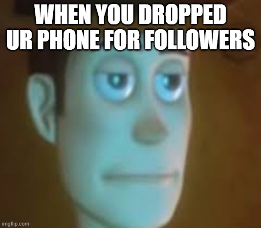 why did you do that? | WHEN YOU DROPPED UR PHONE FOR FOLLOWERS | image tagged in disappointed woody | made w/ Imgflip meme maker