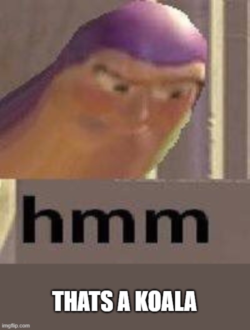 Buzz Lightyear Hmm | THATS A KOALA | image tagged in buzz lightyear hmm | made w/ Imgflip meme maker