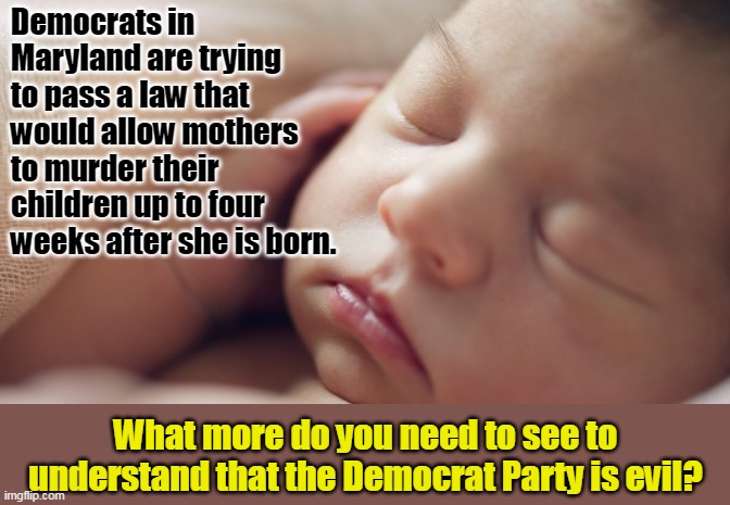 A vote for ANY Democrat is a vote supporting infanticide. | Democrats in Maryland are trying to pass a law that would allow mothers to murder their children up to four weeks after she is born. What more do you need to see to understand that the Democrat Party is evil? | image tagged in evil,democrat,liberals,abortion is murder | made w/ Imgflip meme maker