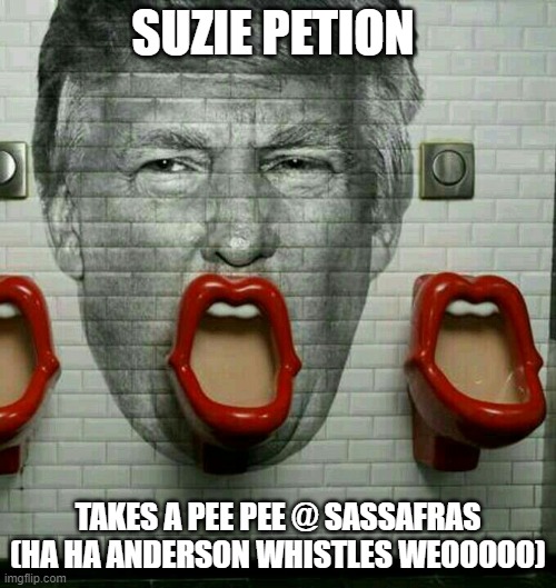 Suzie Petion takes a pee pee | SUZIE PETION; TAKES A PEE PEE @ SASSAFRAS (HA HA ANDERSON WHISTLES WEOOOOO) | image tagged in donald trump urinal,urine,pee,piss | made w/ Imgflip meme maker