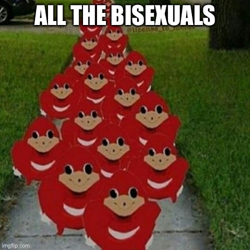 Ugandan knuckles army | ALL THE BISEXUALS | image tagged in ugandan knuckles army | made w/ Imgflip meme maker