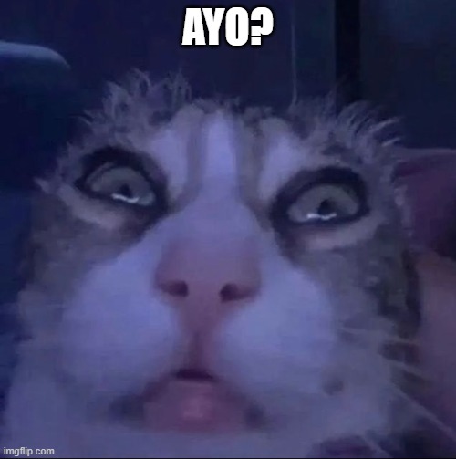 ayo? | AYO? | image tagged in grumpy cats father | made w/ Imgflip meme maker