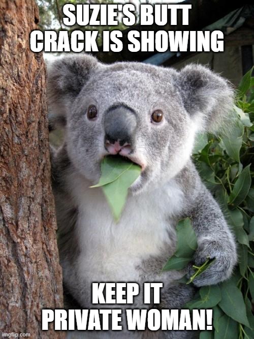 Koala see Suzie Petion's bum! | SUZIE'S BUTT CRACK IS SHOWING; KEEP IT PRIVATE WOMAN! | image tagged in memes,surprised koala,privacy,butt crack | made w/ Imgflip meme maker