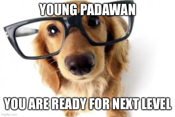 Can i help you? | YOUNG PADAWAN YOU ARE READY FOR NEXT LEVEL | image tagged in can i help you | made w/ Imgflip meme maker