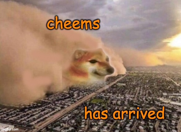 Cheems storm (from the other Cheems stream) | cheems; has arrived | image tagged in cheems cloud | made w/ Imgflip meme maker