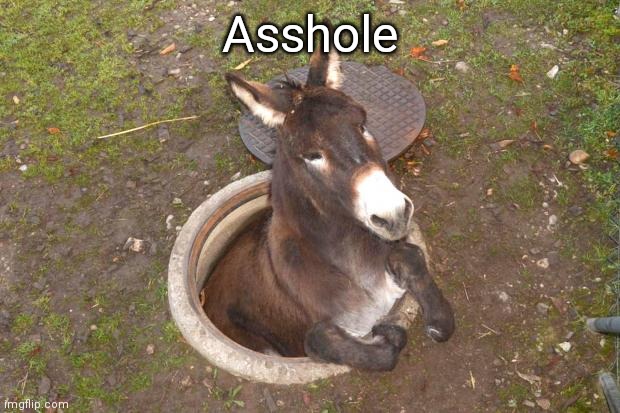 Asshole | Asshole | image tagged in asshole | made w/ Imgflip meme maker