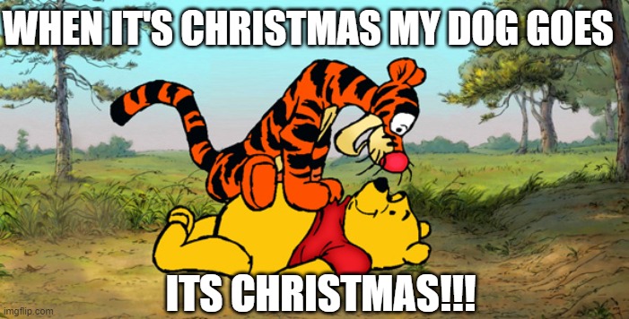 just excited | WHEN IT'S CHRISTMAS MY DOG GOES; ITS CHRISTMAS!!! | image tagged in tigger pounce | made w/ Imgflip meme maker