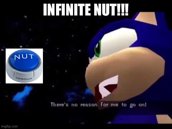 INFINITE NUT!!! | image tagged in nut,sonic,nut button | made w/ Imgflip meme maker