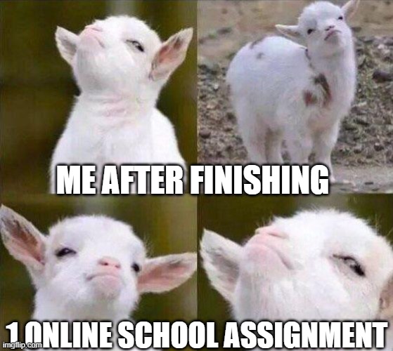 Smug goat | ME AFTER FINISHING; 1 ONLINE SCHOOL ASSIGNMENT | image tagged in smug goat | made w/ Imgflip meme maker