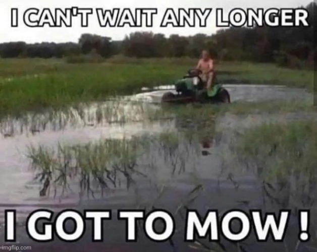 NOW | made w/ Imgflip meme maker