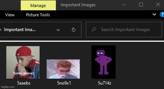 what currently resides inside the fabled "important images" folder | made w/ Imgflip meme maker