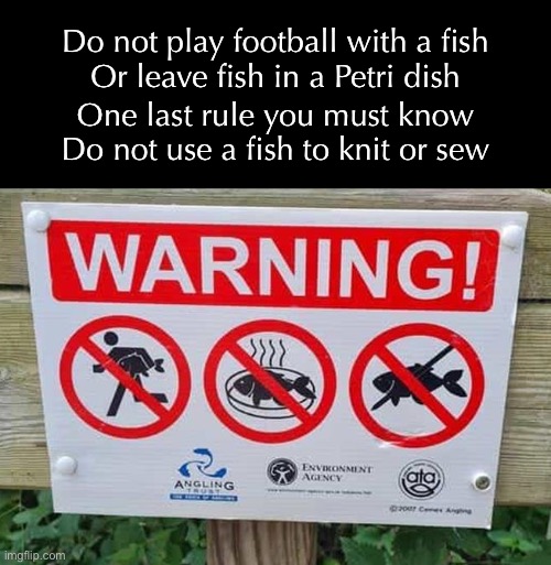 Catch and Release? | Do not play football with a fish
Or leave fish in a Petri dish; One last rule you must know
Do not use a fish to knit or sew | image tagged in funny memes,bad signs,bad poetry | made w/ Imgflip meme maker