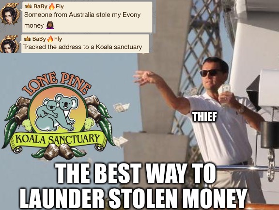 Leonardo DiCaprio throwing Money  | THIEF; THE BEST WAY TO LAUNDER STOLEN MONEY | image tagged in leonardo dicaprio throwing money | made w/ Imgflip meme maker