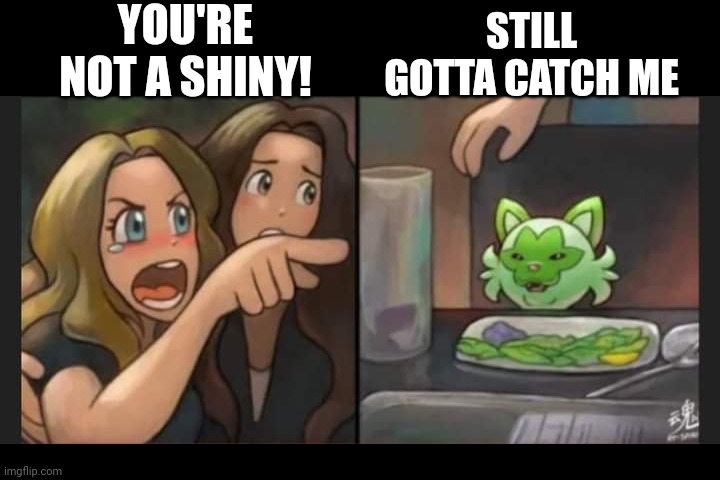 GOTTA CATCH EM ALL | YOU'RE NOT A SHINY! STILL GOTTA CATCH ME | image tagged in pokemon,pokemon memes,video games,woman yelling at cat | made w/ Imgflip meme maker