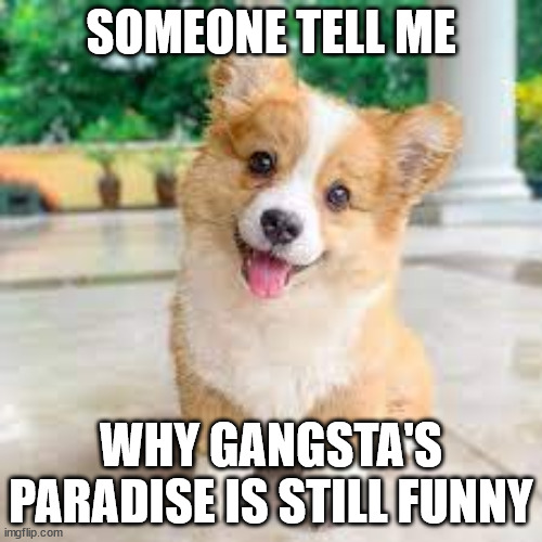 its not (fight me) | SOMEONE TELL ME; WHY GANGSTA'S PARADISE IS STILL FUNNY | image tagged in corgiparty2052 announcement template | made w/ Imgflip meme maker