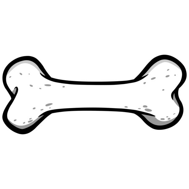 dog-bone-blank-template-imgflip