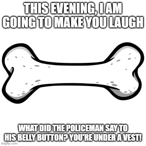 Dog bone | THIS EVENING, I AM GOING TO MAKE YOU LAUGH; WHAT DID THE POLICEMAN SAY TO HIS BELLY BUTTON? YOU'RE UNDER A VEST! | image tagged in dog bone,memes,funny,comedy,jokes,so funny | made w/ Imgflip meme maker