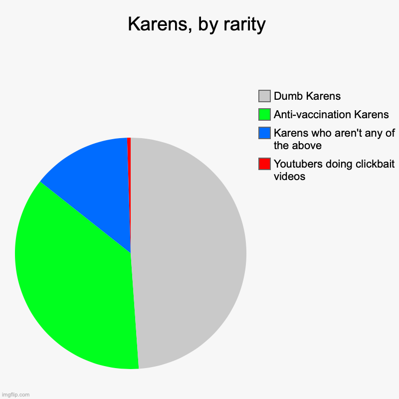 Karens, by rarity | Youtubers doing clickbait videos, Karens who aren't any of the above, Anti-vaccination Karens, Dumb Karens | image tagged in charts,pie charts | made w/ Imgflip chart maker