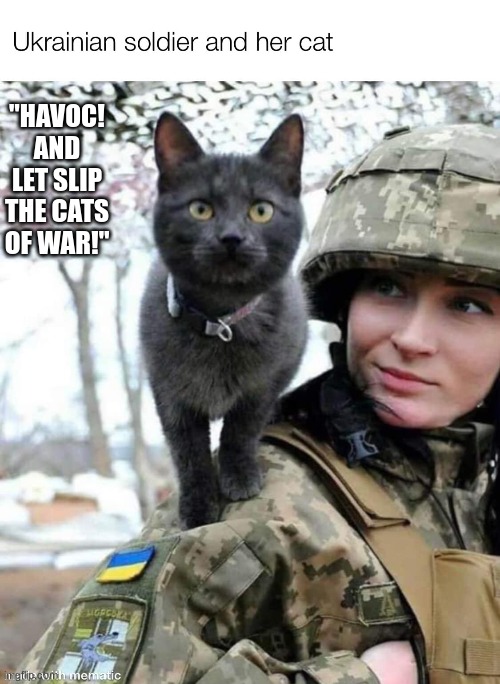 Cats of War | "HAVOC! AND LET SLIP THE CATS OF WAR!" | image tagged in cat,ukranian soldier,war,shakespear | made w/ Imgflip meme maker
