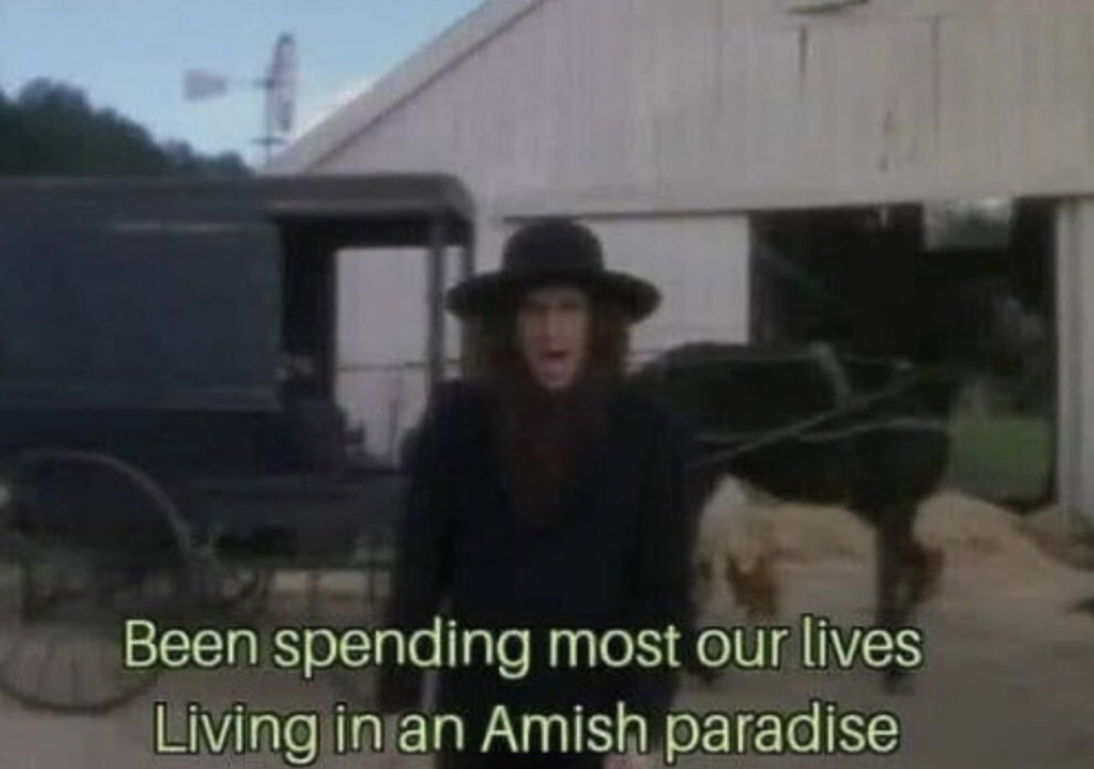 Been spending most our lives living in an Amish Paradise Blank Meme Template