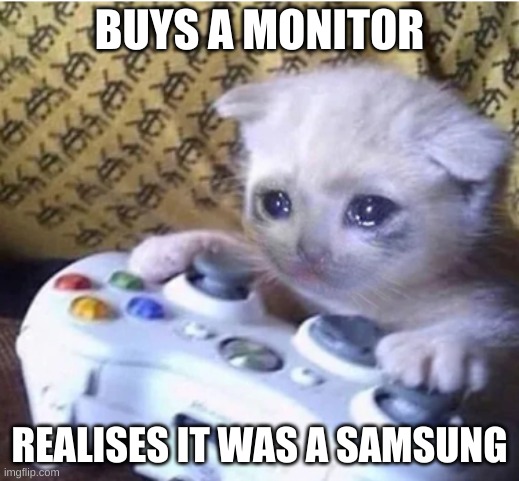 Samsung disappointment | BUYS A MONITOR; REALISES IT WAS A SAMSUNG | image tagged in sad gaming cat | made w/ Imgflip meme maker