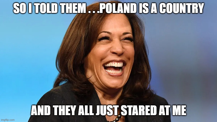 Top negotiator Kamala on the scene in Poland | SO I TOLD THEM . . .POLAND IS A COUNTRY; AND THEY ALL JUST STARED AT ME | image tagged in poland,kamala harris | made w/ Imgflip meme maker