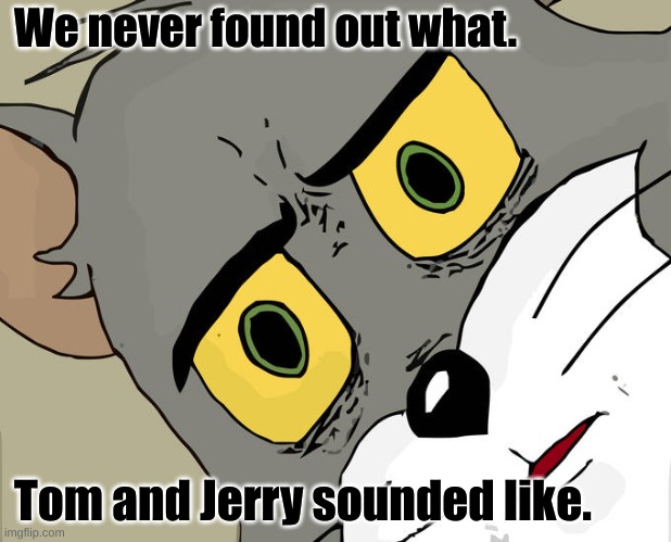 Unsettled Tom | We never found out what. Tom and Jerry sounded like. | image tagged in memes,unsettled tom | made w/ Imgflip meme maker