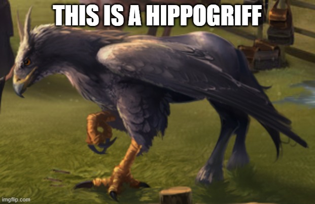 Hippogriff | THIS IS A HIPPOGRIFF | image tagged in hippogriff,memes | made w/ Imgflip meme maker