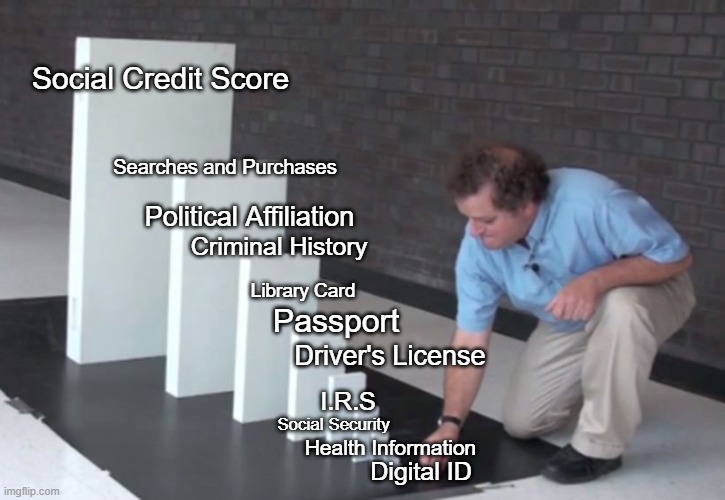 Oh you're just paranoid | Social Credit Score; Searches and Purchases; Political Affiliation; Criminal History; Library Card; Passport; Driver's License; I.R.S; Social Security; Health Information; Digital ID | image tagged in domino effect | made w/ Imgflip meme maker