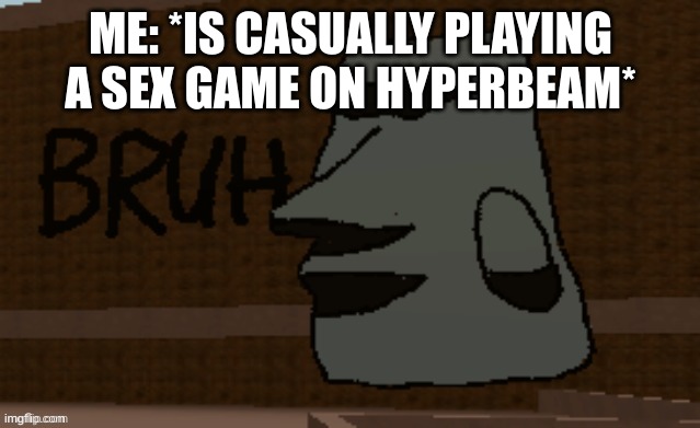Bruh | ME: *IS CASUALLY PLAYING A SEX GAME ON HYPERBEAM* | image tagged in bruh | made w/ Imgflip meme maker