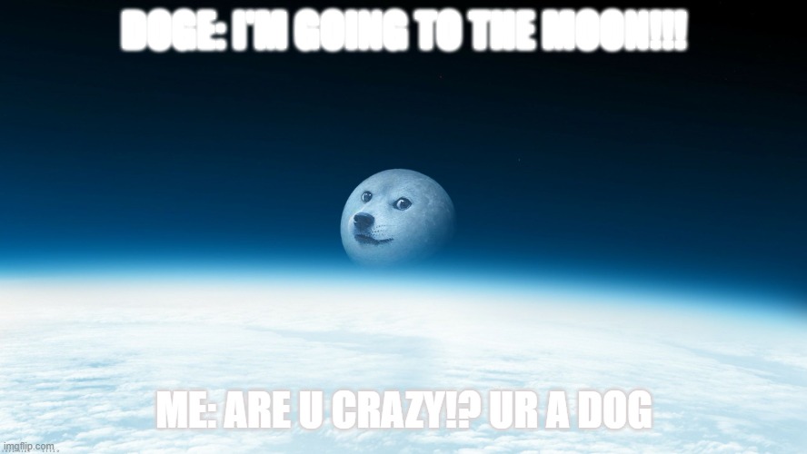 Doge Moon | DOGE: I'M GOING TO THE MOON!!! ME: ARE U CRAZY!? UR A DOG | image tagged in doge moon | made w/ Imgflip meme maker