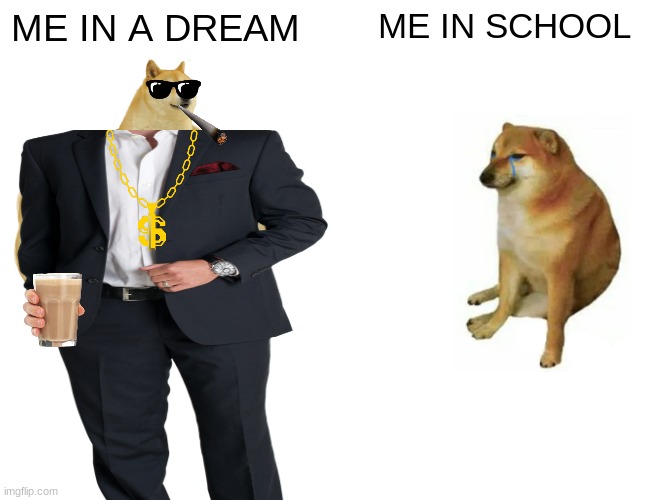 MY DREAM VS REAL LIFE | ME IN A DREAM; ME IN SCHOOL | image tagged in memes,buff doge vs cheems | made w/ Imgflip meme maker