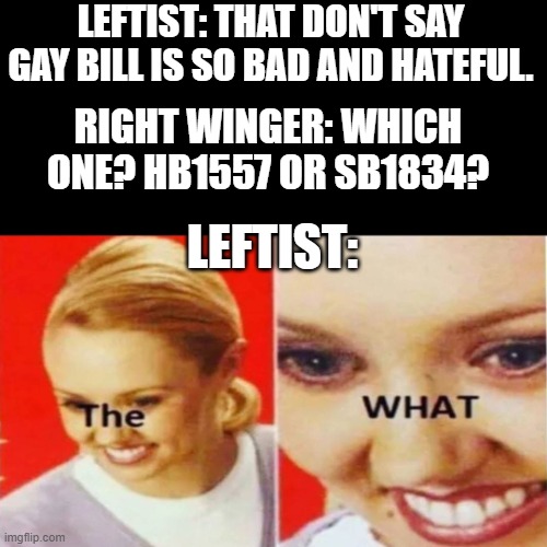 Let Me Guess, They Haven't Read Either | LEFTIST: THAT DON'T SAY GAY BILL IS SO BAD AND HATEFUL. RIGHT WINGER: WHICH ONE? HB1557 OR SB1834? LEFTIST: | image tagged in the what | made w/ Imgflip meme maker