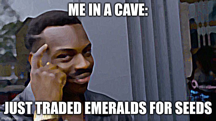 Roll Safe Think About It | ME IN A CAVE:; JUST TRADED EMERALDS FOR SEEDS | image tagged in memes,roll safe think about it | made w/ Imgflip meme maker