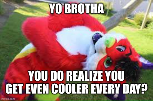 Yo brotha | YO BROTHA; YOU DO REALIZE YOU GET EVEN COOLER EVERY DAY? | image tagged in majira,wholesome | made w/ Imgflip meme maker