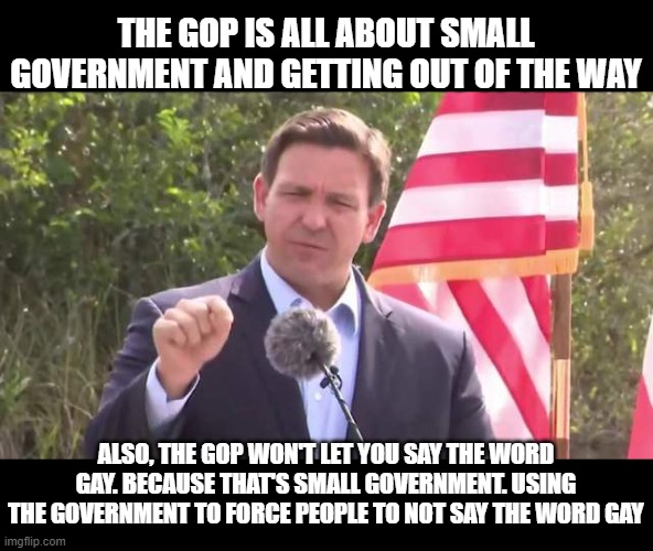 super small government, y'all. Super. Small. Government. | THE GOP IS ALL ABOUT SMALL GOVERNMENT AND GETTING OUT OF THE WAY; ALSO, THE GOP WON'T LET YOU SAY THE WORD GAY. BECAUSE THAT'S SMALL GOVERNMENT. USING THE GOVERNMENT TO FORCE PEOPLE TO NOT SAY THE WORD GAY | image tagged in florida governor ron desantis,gop hypocrite | made w/ Imgflip meme maker