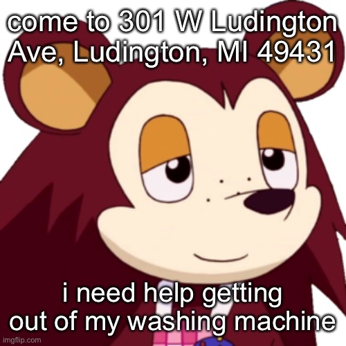 i live in the dumpster there | come to 301 W Ludington Ave, Ludington, MI 49431; i need help getting out of my washing machine | made w/ Imgflip meme maker
