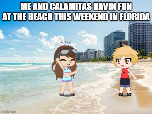 I know it won't happen, but I can dream! | ME AND CALAMITAS HAVIN FUN AT THE BEACH THIS WEEKEND IN FLORIDA | image tagged in this is an actual photo of south beach | made w/ Imgflip meme maker