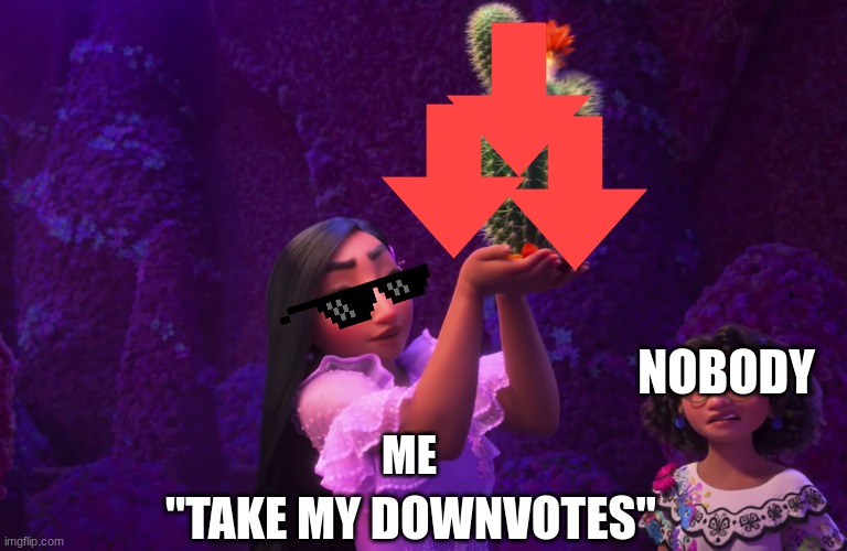Mirabel and Isabella | ME NOBODY "TAKE MY DOWNVOTES" | image tagged in mirabel and isabella | made w/ Imgflip meme maker
