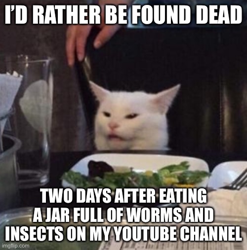Annoyed White Cat | I’D RATHER BE FOUND DEAD TWO DAYS AFTER EATING A JAR FULL OF WORMS AND INSECTS ON MY YOUTUBE CHANNEL | image tagged in annoyed white cat | made w/ Imgflip meme maker