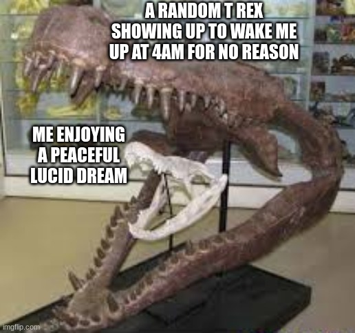 my dreams be like | A RANDOM T REX SHOWING UP TO WAKE ME UP AT 4AM FOR NO REASON; ME ENJOYING A PEACEFUL LUCID DREAM | image tagged in dinosaur eating dinosaur | made w/ Imgflip meme maker