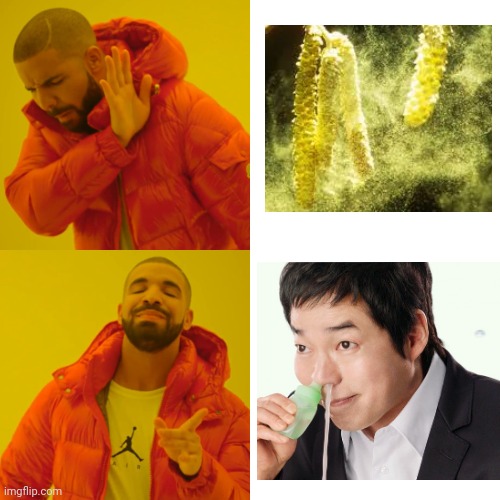 Use this for allergy! I guess..? | image tagged in memes,drake hotline bling,hananoa,meanwhile in japan | made w/ Imgflip meme maker