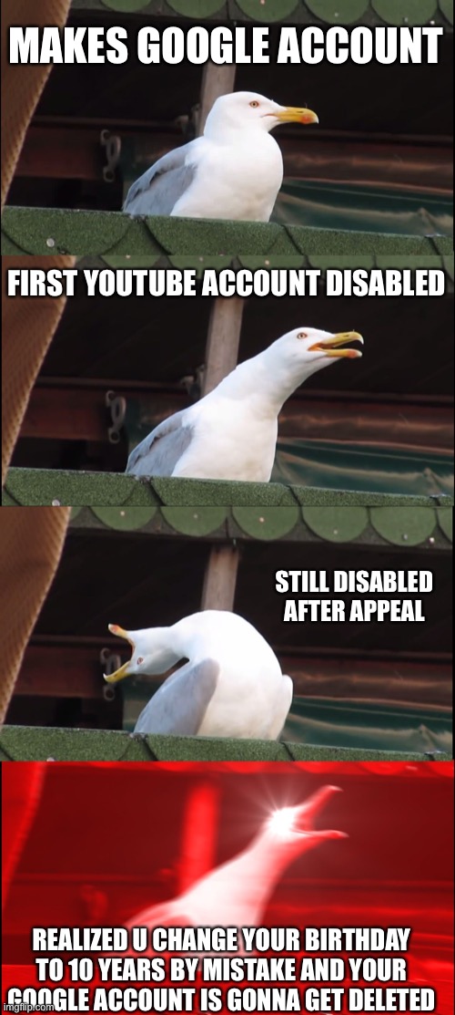 Seagull Is Pissed With Google | MAKES GOOGLE ACCOUNT; FIRST YOUTUBE ACCOUNT DISABLED; STILL DISABLED AFTER APPEAL; REALIZED U CHANGE YOUR BIRTHDAY TO 10 YEARS BY MISTAKE AND YOUR GOOGLE ACCOUNT IS GONNA GET DELETED | image tagged in memes,inhaling seagull | made w/ Imgflip meme maker