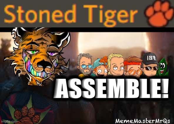Tigers & Chads Assemble | ASSEMBLE! MemeMasterMrQs | image tagged in avengers assemble,funny memes | made w/ Imgflip meme maker