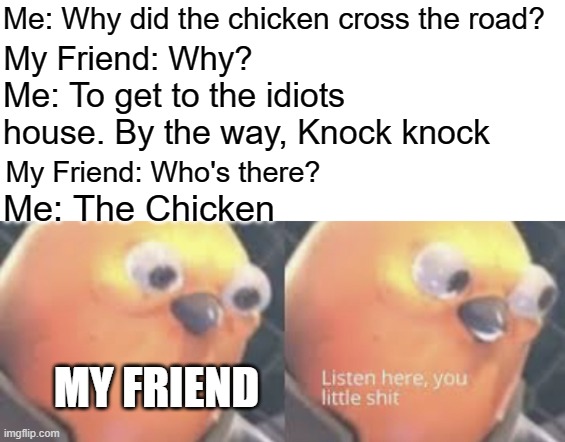 Listen here you little shit bird | Me: Why did the chicken cross the road? My Friend: Why? Me: To get to the idiots house. By the way, Knock knock; My Friend: Who's there? Me: The Chicken; MY FRIEND | image tagged in listen here you little shit bird,memes | made w/ Imgflip meme maker