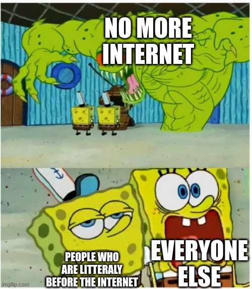 SpongeBob SquarePants scared but also not scared | NO MORE INTERNET; EVERYONE ELSE; PEOPLE WHO ARE LITERALLY BEFORE THE INTERNET | image tagged in spongebob squarepants scared but also not scared | made w/ Imgflip meme maker