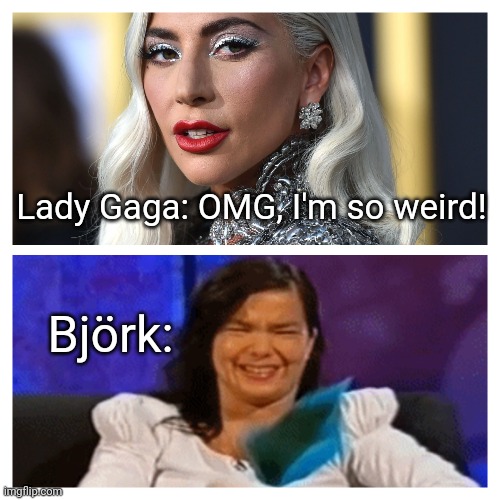 Lady Gaga vs. Björk |  Lady Gaga: OMG, I'm so weird! Björk: | image tagged in lady gaga,memes | made w/ Imgflip meme maker