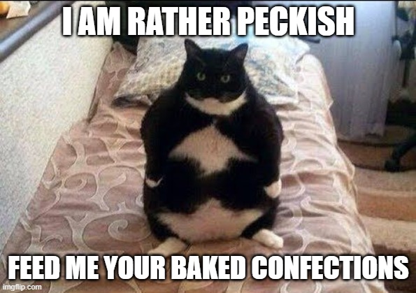 feed meh |  I AM RATHER PECKISH; FEED ME YOUR BAKED CONFECTIONS | image tagged in chonki babbie hungy,hungry | made w/ Imgflip meme maker