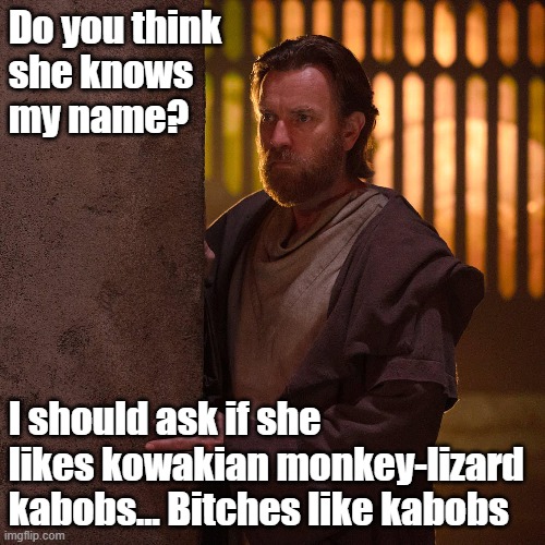 Obi Wan likes bitches | Do you think 
she knows 
my name? I should ask if she likes kowakian monkey-lizard kabobs... Bitches like kabobs | image tagged in obi wan kenobi,bitches | made w/ Imgflip meme maker