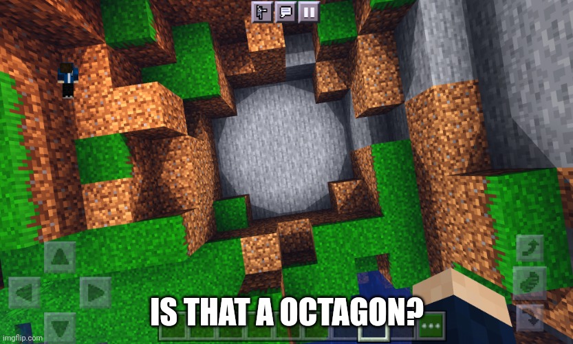 Octagon in Minecraft? | IS THAT A OCTAGON? | image tagged in minecraft,lol,excuse me what the heck | made w/ Imgflip meme maker